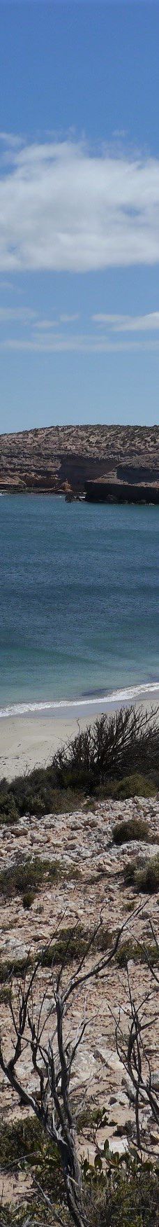 Streaky Bay Islands Caravan Park-斯特里基湾