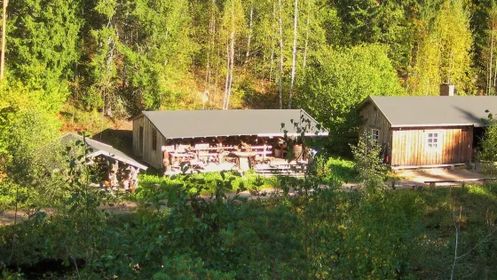 Kettukallion Elämystila