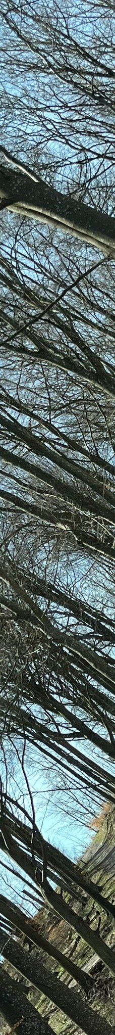 Pikkerbakken-腓特烈港