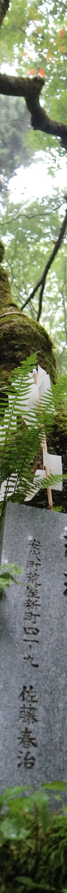 不动瀑布-八幡平市