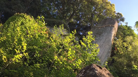 巖上神社