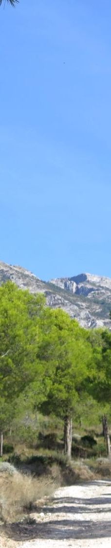 Fuente del Esparto-内尔哈