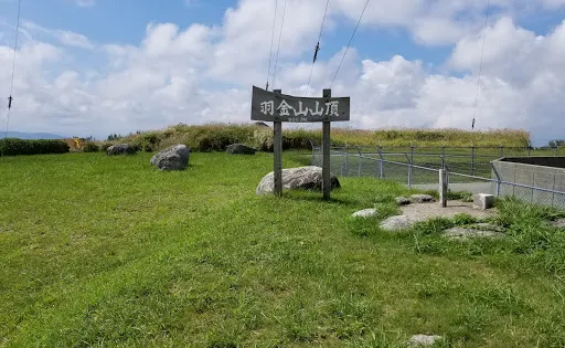羽金山