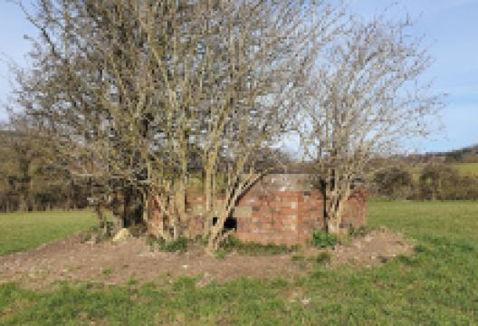 Shockerwick Park景点图片