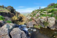El-Al Nature Reserve景点图片