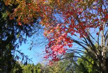 Clum-Kennedy Park景点图片