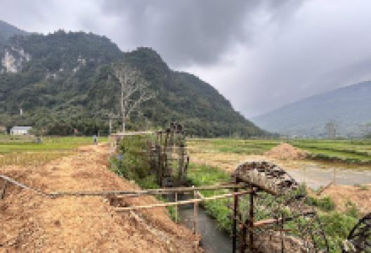 Water wheels景点图片