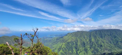 Na Pali-Kona Forest Reserve