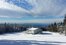 Vista Peak Lookout Tower景点图片