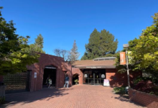 阳光谷公共图书馆景点图片