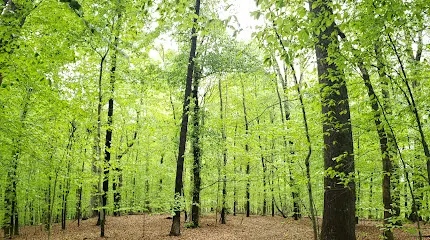 Banshee Reeks Nature Preserve