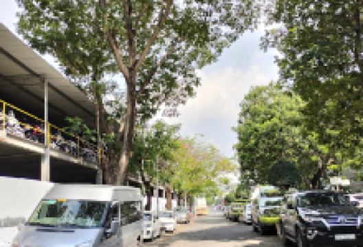 Nhà văn hoá Khu Phố 5景点图片