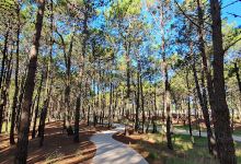 Camino parque los Pioneros景点图片