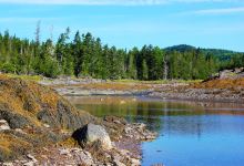 Sam Orr Pond Nature Trail景点图片