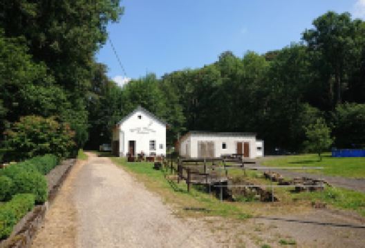 Kleines Museum Bolsdorf景点图片