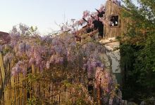"Balta Alba" lake景点图片