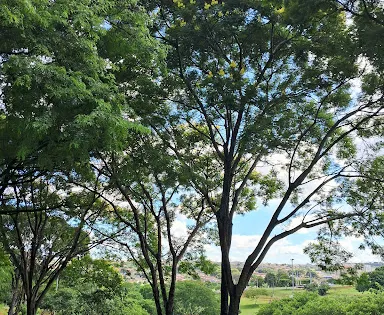 Cabrinha Lake