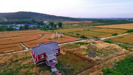 長清服務區白鷺花谷