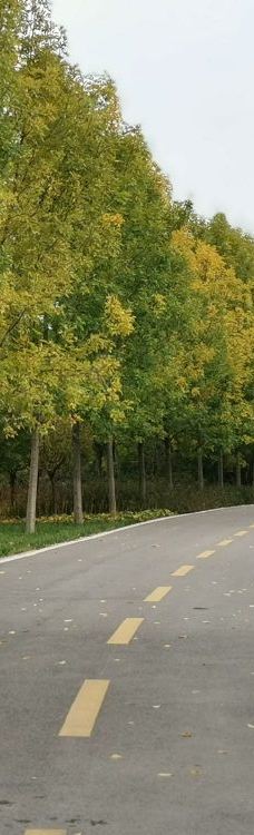 庙底沟考古遗址公园-三门峡