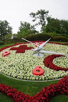 Flower Clock-库里提巴