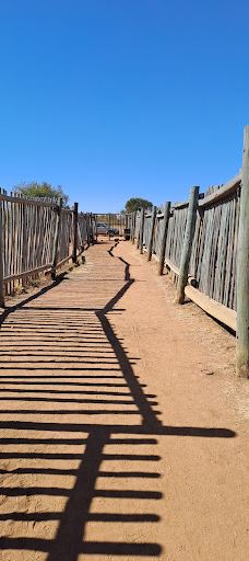 Bakubung Gate Pilanesberg National Park-Bojanala