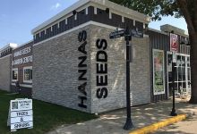 Hannas Seeds购物图片