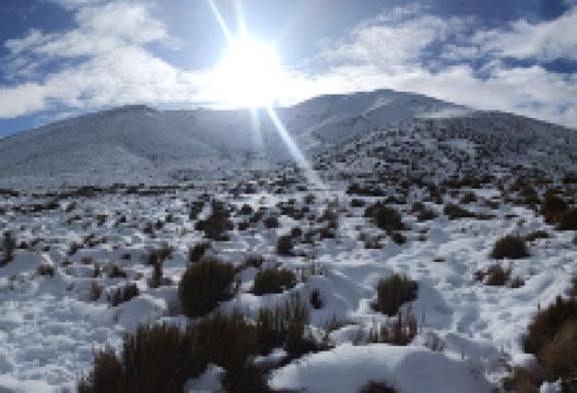 Porters Pass viewpoint景点图片