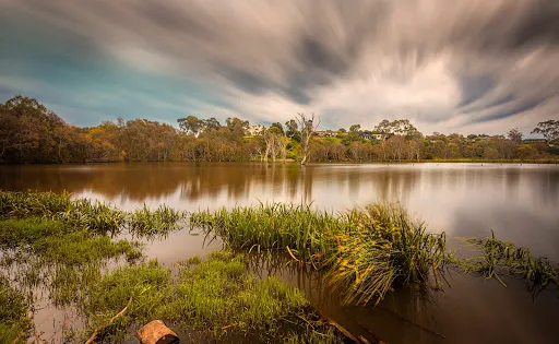 Banyule Flats Reserve