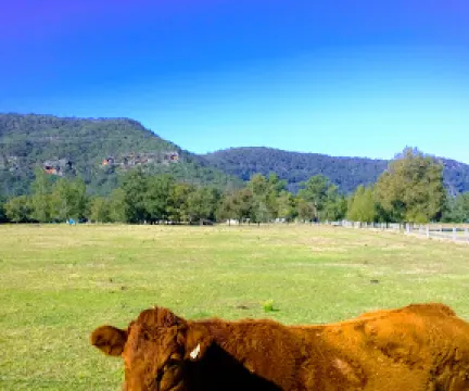 Marramarra National Park