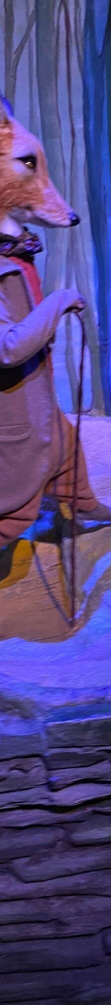 彼得兔世界-鲍内斯温德米尔