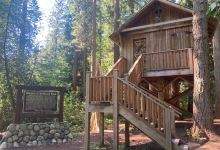 Redwood Park景点图片