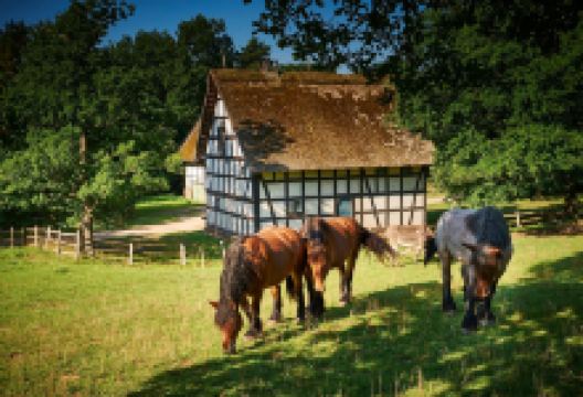 LVR-Freilichtmuseum Kommern景点图片