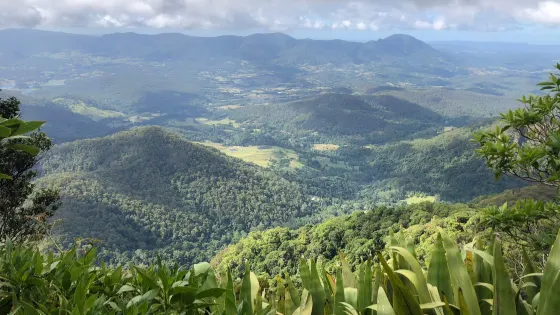 沃寧山