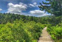 Cranberry Glades Botanical Area景点图片