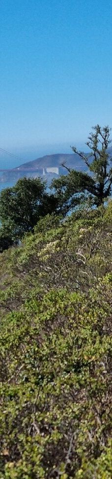 安琪儿岛-蒂伯龙