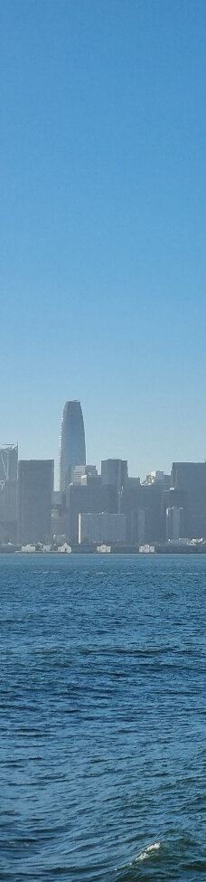 安琪儿岛-蒂伯龙