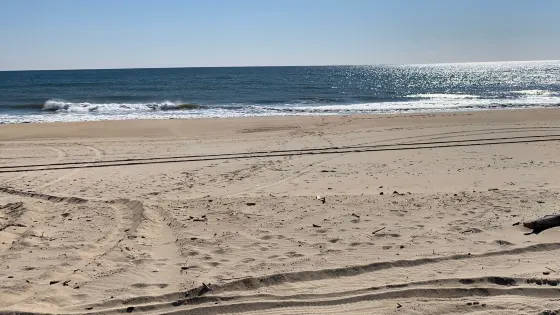 Kirk Park Beach