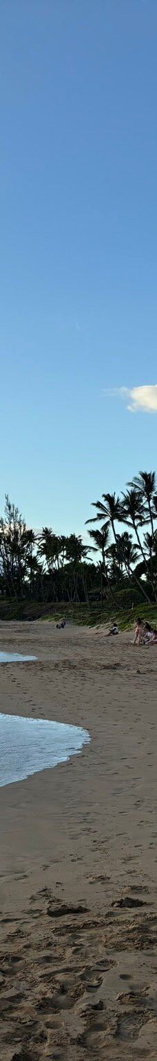 Kamaole Beach Park II-茂宜县