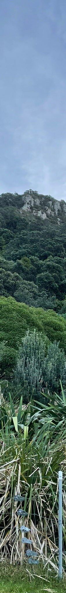 Mauao / Mount Maunganui summit-塔朗哥