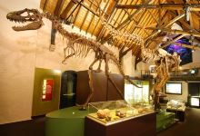 Australian Fossil and Mineral Museum景点图片
