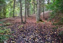 Ardagh Bluffs景点图片