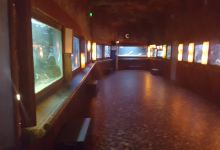 阿卡雄水族馆景点图片