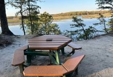 Maurice River Bluffs  Nature Preserve景点图片