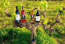 Tyler's Vineyard景点图片