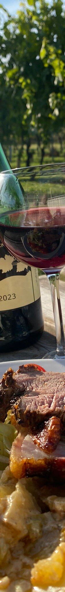 Vingaarden, Lille Gadegaard ( Vineyard )-阿克尔科拜