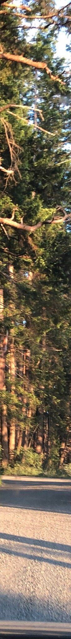 Rebecca Spit Marine Provincial Park-奎德拉岛