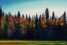 Athabasca Riverfront Park景点图片