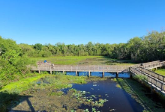Cullinan Park景点图片