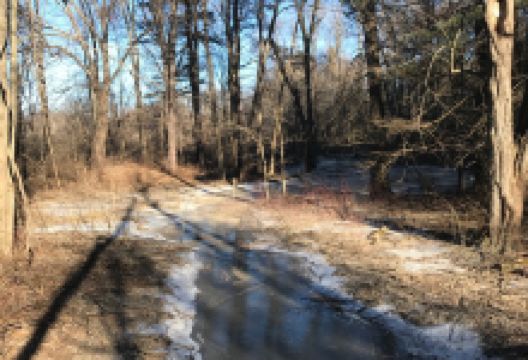 Silvio O. Conte National Fish and Wildlife Refuge景点图片