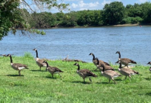 William G. Stratton State Park景点图片
